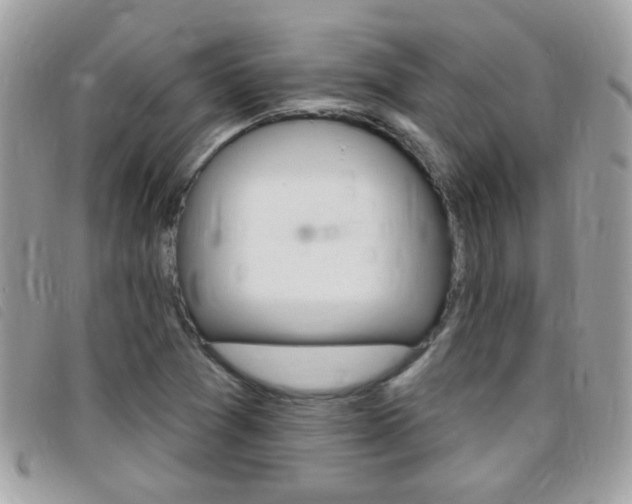 X0000095901361200801110756