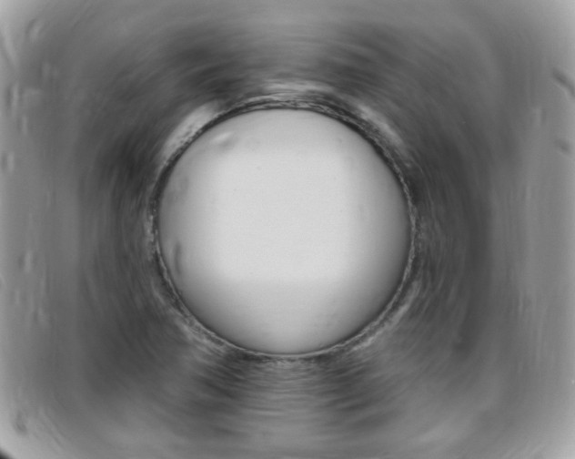X0000095901362200801110756