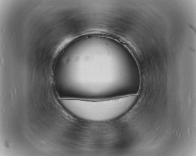 X0000095901363200801110756