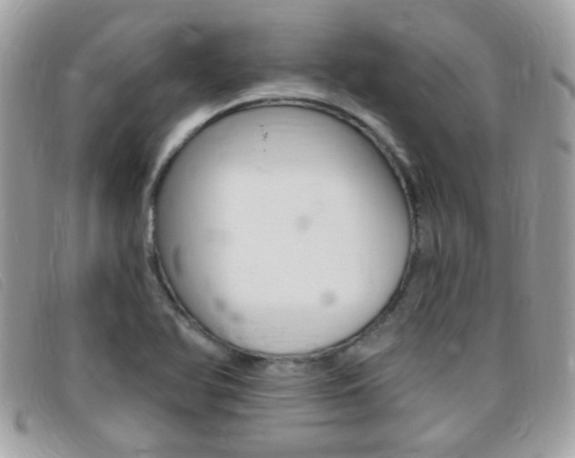 X0000095901366200801110755