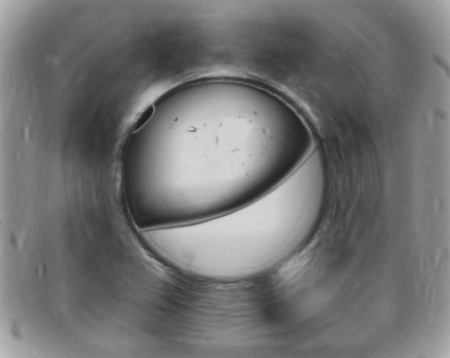 X0000095901367200801110755