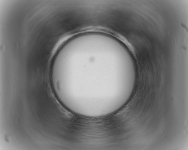 X0000095901368200801110755