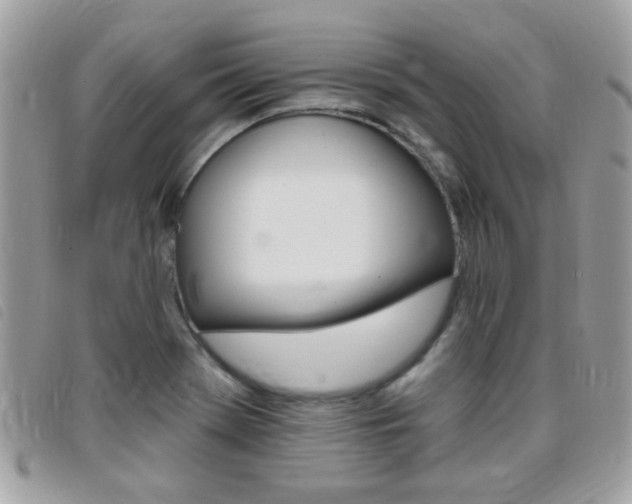 X0000095901369200801110755