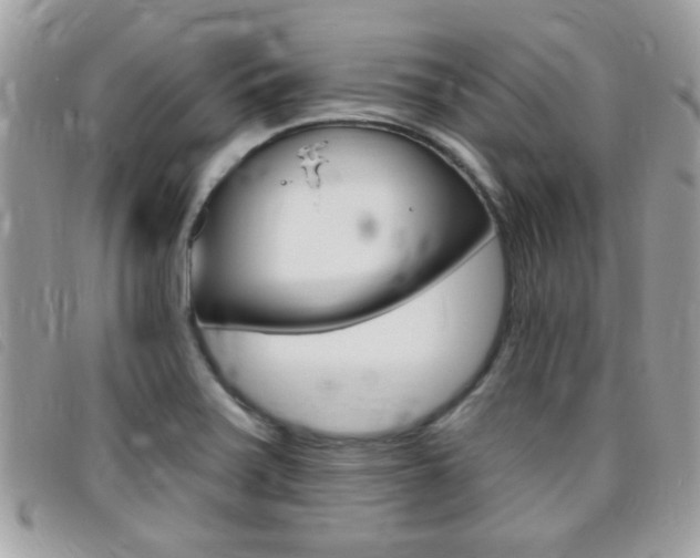X0000095901371200801110755