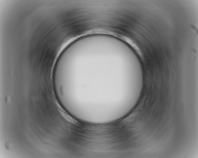 X0000095901372200801110755