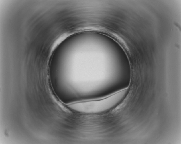 X0000095901373200801110755