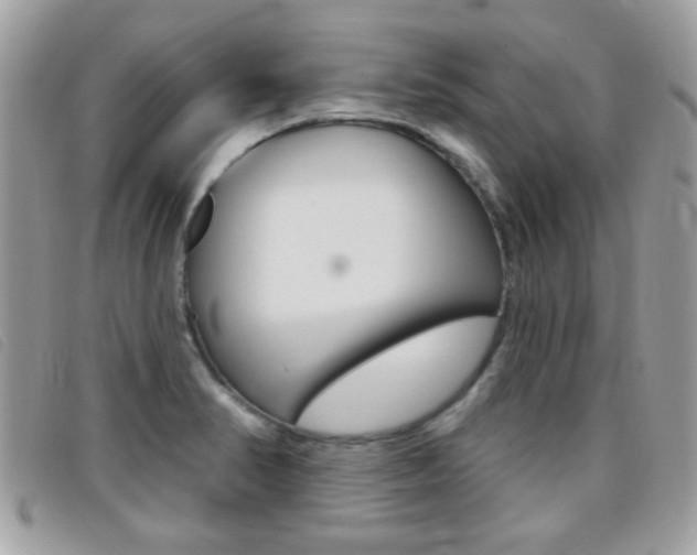X0000095901374200801110755