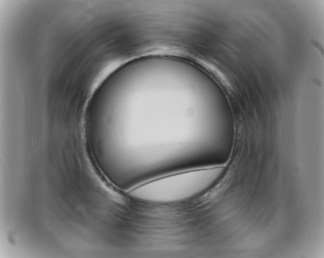 X0000095901375200801110755