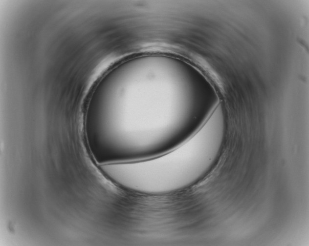 X0000095901376200801110755