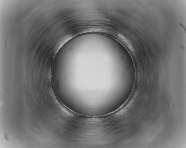 X0000095901377200801110755
