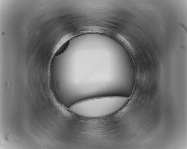 X0000095901378200801110755
