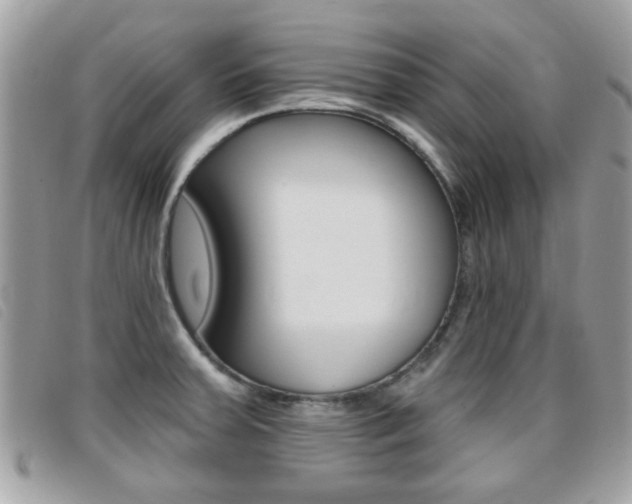 X0000095901379200801110755