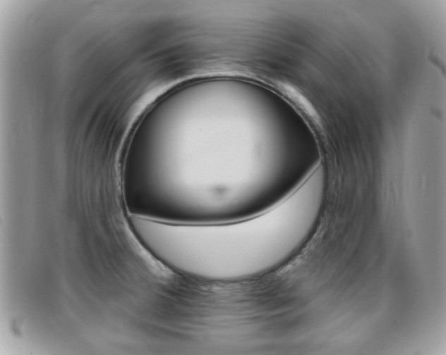 X0000095901380200801110755