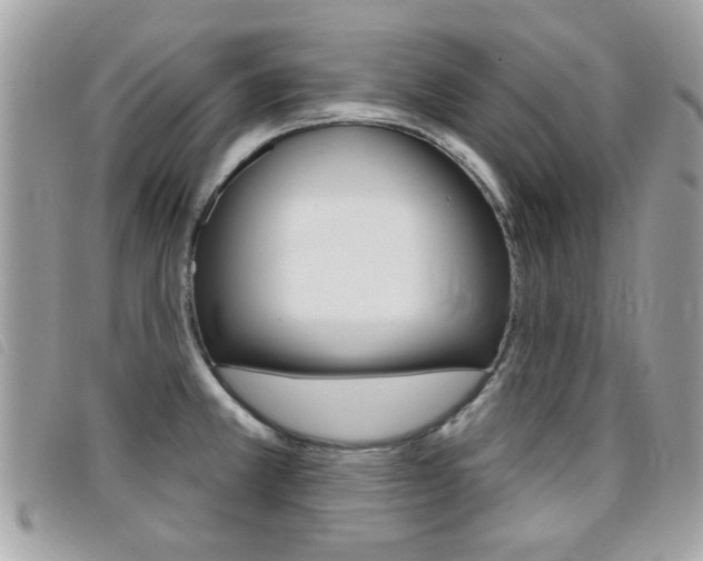 X0000095901381200801110755