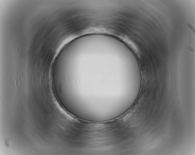 X0000095901382200801110755