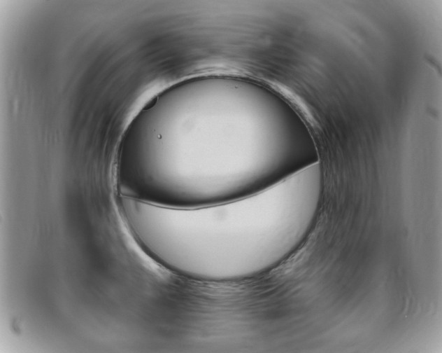 X0000095901383200801110755