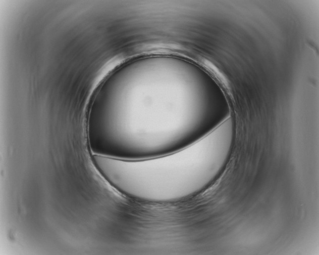 X0000095901384200801110755