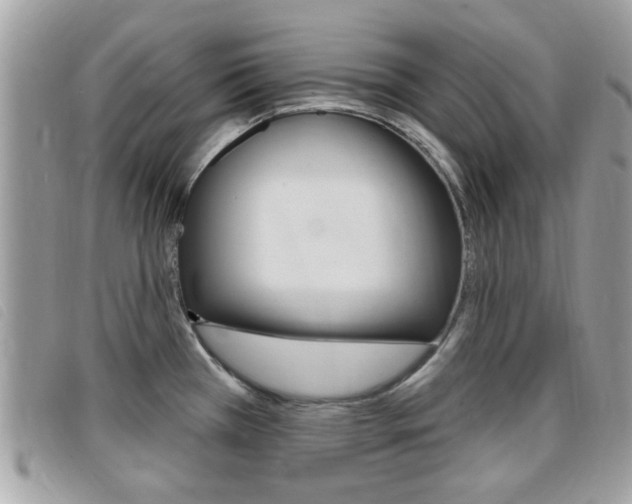 X0000095901385200801110755