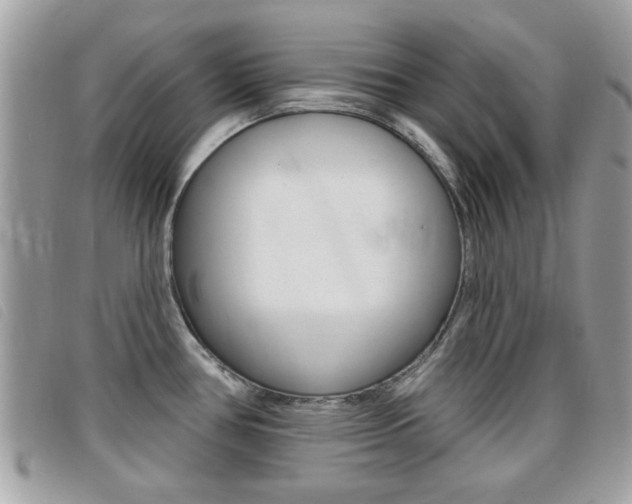 X0000095901386200801110755
