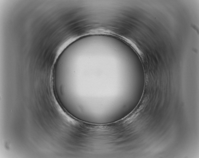 X0000095901387200801110755