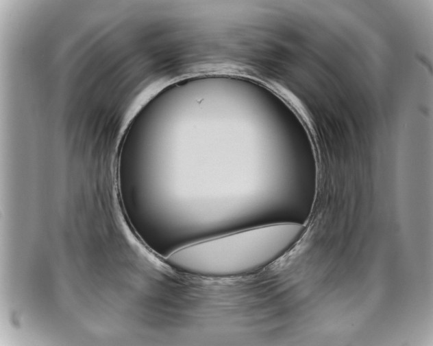 X0000095901389200801110755