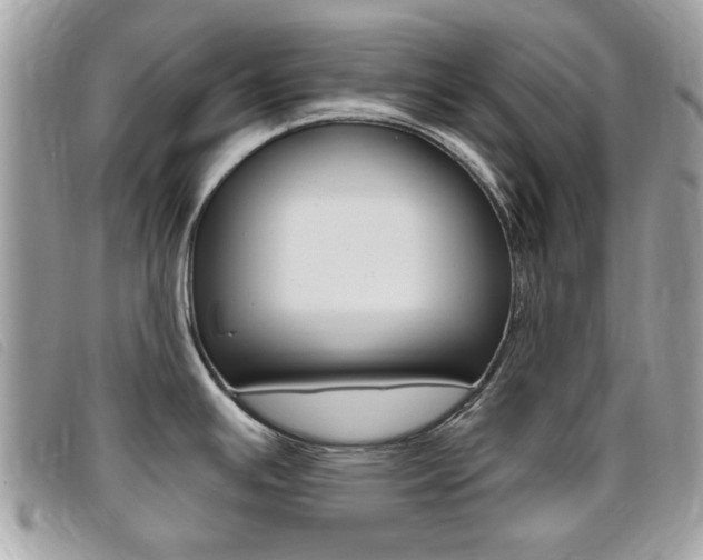 X0000095901391200801110755