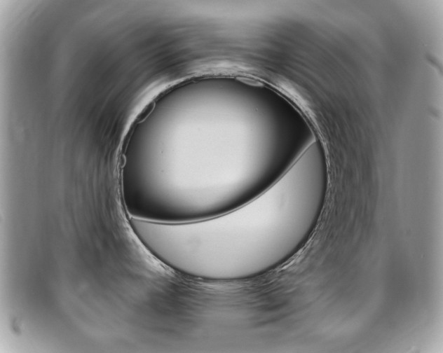 X0000095901392200801110755
