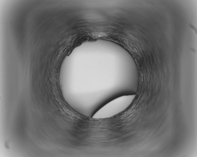 X0000095901393200801110754