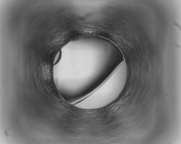 X0000095901394200801110754