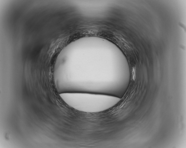 X0000095901395200801110755