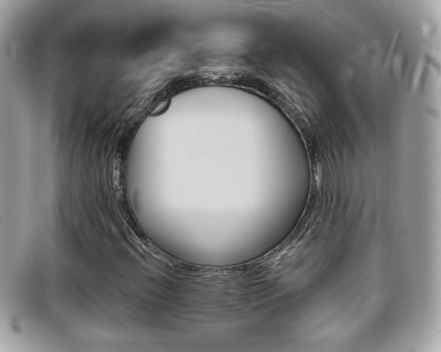 X0000095901396200801110755