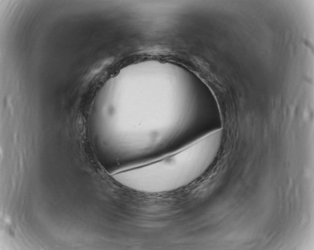 X0000095901398200801110755