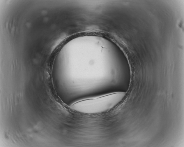 X0000095901400200801110755
