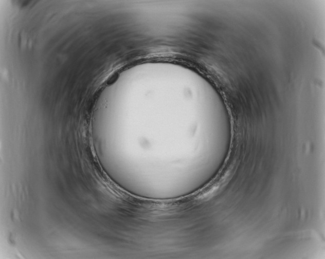X0000095901401200801110755