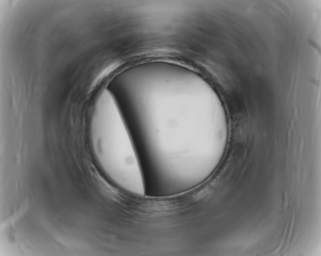 X0000095901402200801110755
