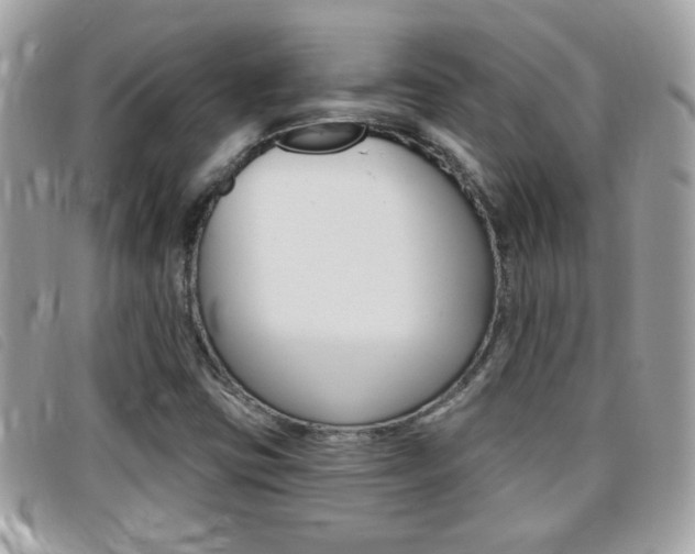 X0000095901403200801110755