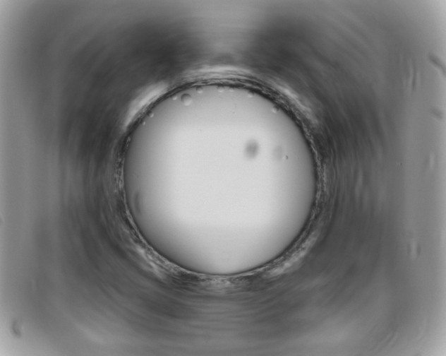 X0000095901405200801110755