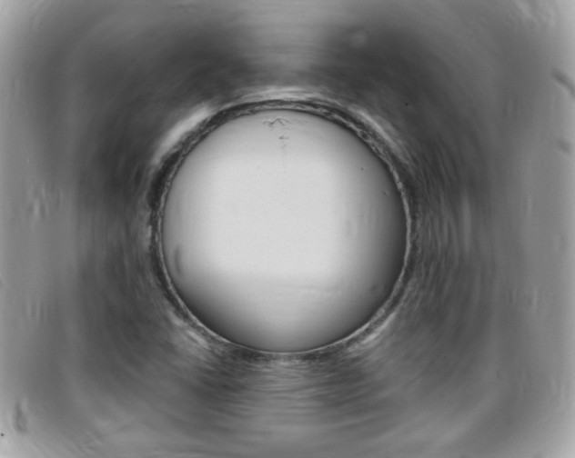 X0000095901406200801110755