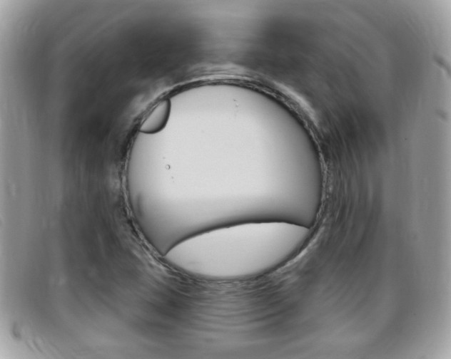 X0000095901407200801110755
