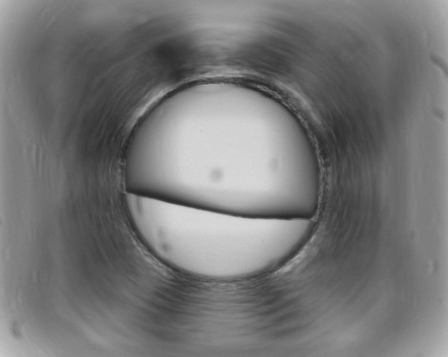 X0000095901409200801110755