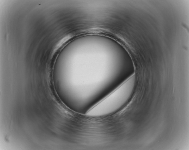X0000095901410200801110755