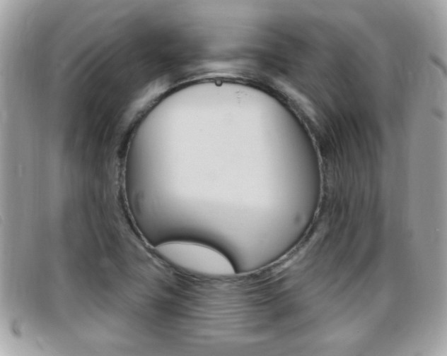 X0000095901411200801110755