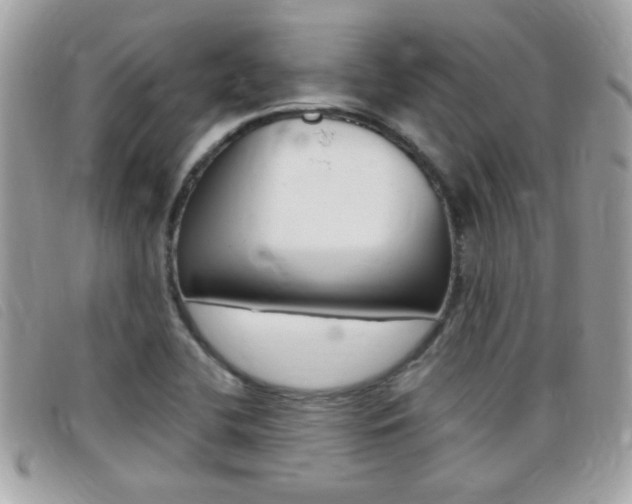 X0000095901412200801110755