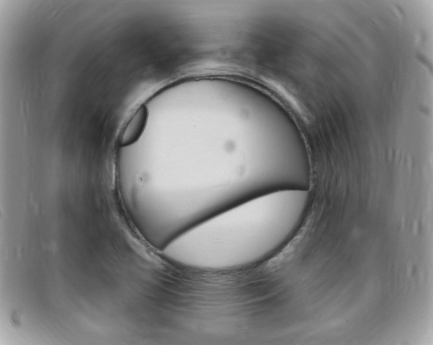 X0000095901413200801110755