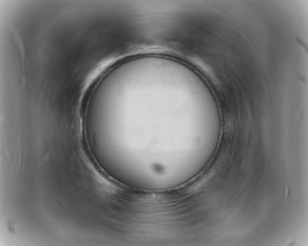 X0000095901414200801110755
