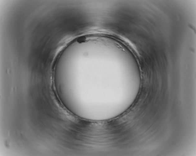 X0000095901415200801110755