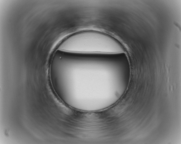 X0000095901416200801110755
