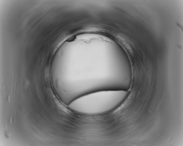 X0000095901417200801110755