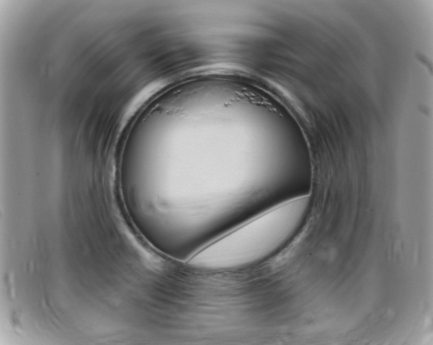X0000095901418200801110755