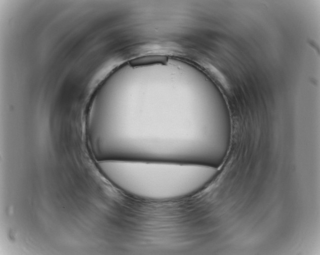 X0000095901419200801110755